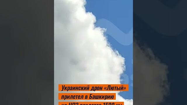 Украинский дрон «лютый» прилетел в башкирию на нпз Украинский дрон «лютый» прилетел в башкирию на нпз