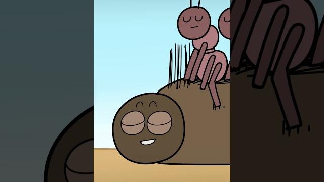 Ulat bulu yang aneh Ulat bulu yang aneh