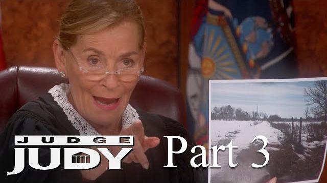 Free horses and an ankle sprain! | part 3 Free horses and an ankle sprain! | part 3