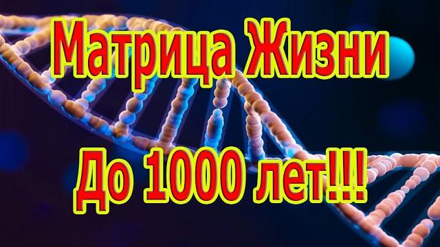 Самая редкая и мощная матрица жизнь до 1000 лет!!! Самая редкая и мощная матрица жизнь до 1000 лет!!!