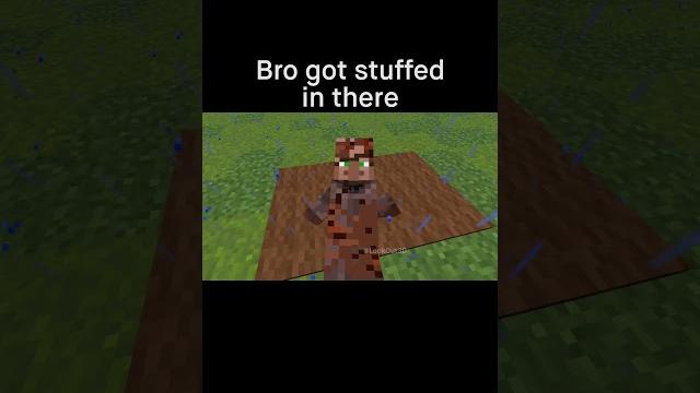 Minecraft meme Minecraft meme