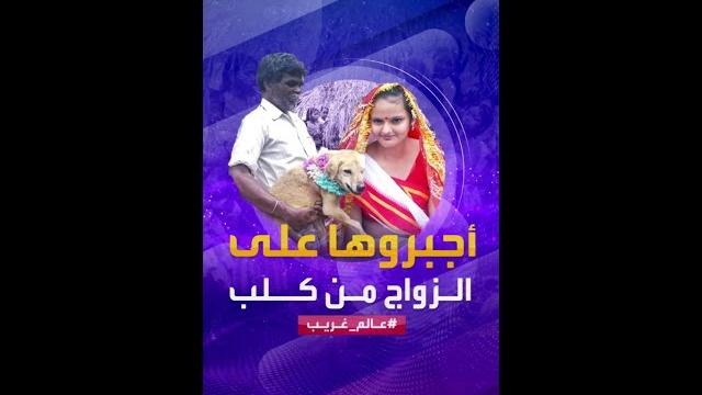 عالم غريب | أجبروها على الزواج من كلب لسبب غريب عالم غريب | أجبروها على الزواج من كلب لسبب غريب
