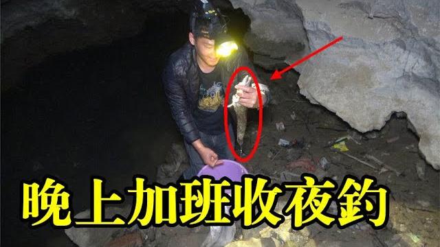 晚上加班收夜钓,第一支就上靓货,阿琪走运了【农村阿琪】 晚上加班收夜钓,第一支就上靓货,阿琪走运了【农村阿琪】