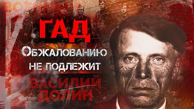 Найти и разоблачить. история военного преступника василия долина Найти и разоблачить. история военного преступника василия долина