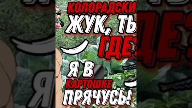 Мге дача #едит #дача #лето Мге дача #едит #дача #лето