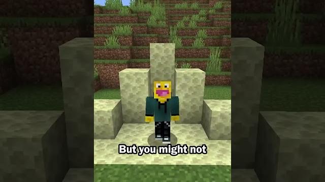 Faster nether portals Faster nether portals