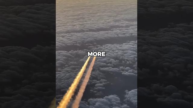 Why airlines aren't buying the a330 neo Why airlines aren't buying the a330 neo