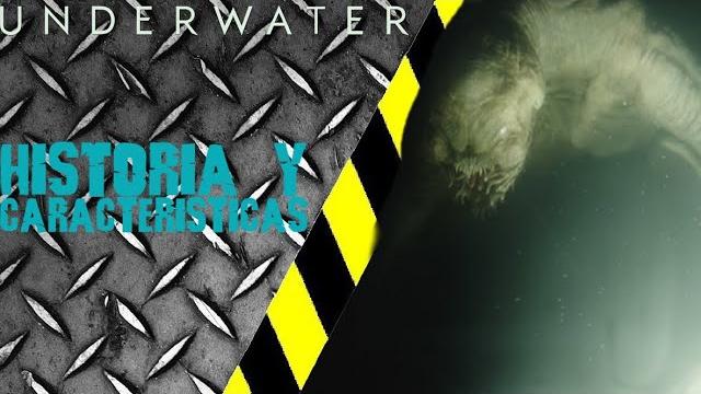 ¿qué son los clingers? | underwater ¿qué son los clingers? | underwater