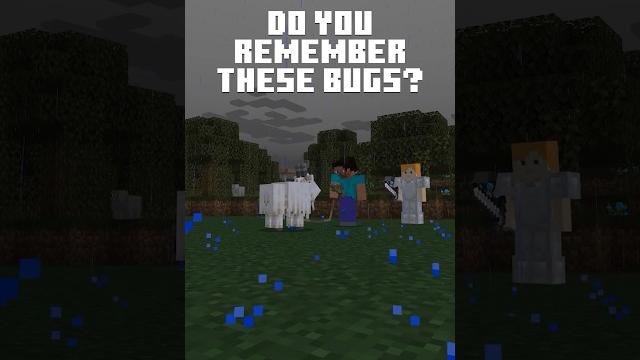 What is your favorite bug from minecraft? What is your favorite bug from minecraft?