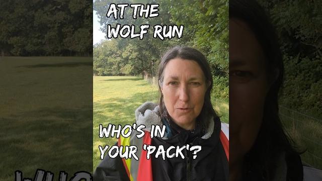 Marshalling at the wolf run, gratitude for your 'pack' #thewolfrun #wolfrun #allcroneup #elder Marshalling at the wolf run, gratitude for your 'pack' #thewolfrun #wolfrun #allcroneup #elder