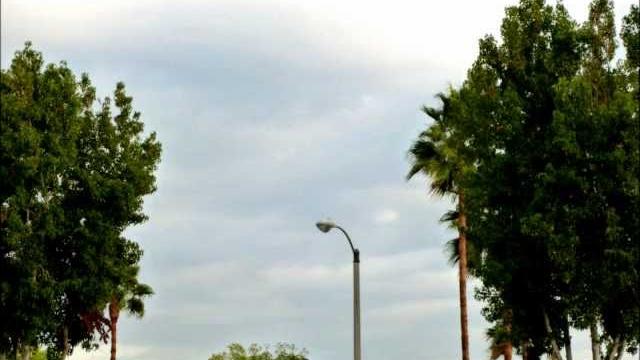 Go ngentot a tree Go ngentot a tree