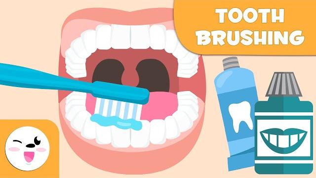 How to brush your teeth - tooth brushing for kids How to brush your teeth - tooth brushing for kids