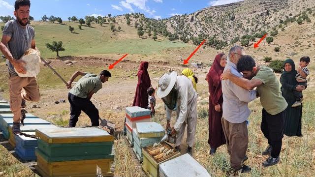 Nomadic life: the daily struggles of the ali family for survival Nomadic life: the daily struggles of the ali family for survival