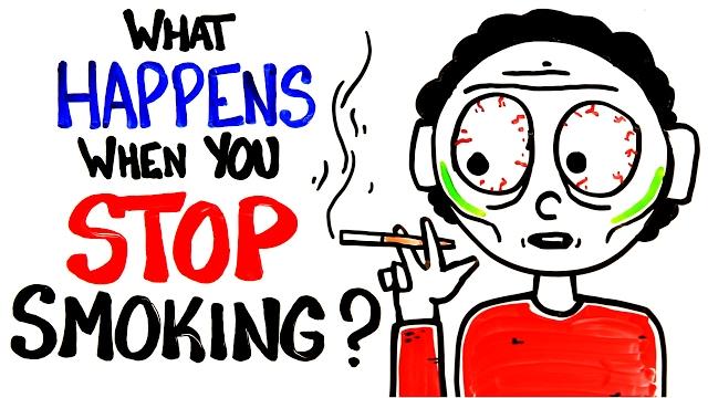 What happens when you stop smoking? What happens when you stop smoking?