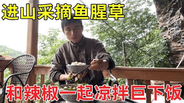 鱼腥草开花了,进山摘了一大把,和辣椒一起凉拌巨下饭【乡野志刚】 鱼腥草开花了,进山摘了一大把,和辣椒一起凉拌巨下饭【乡野志刚】