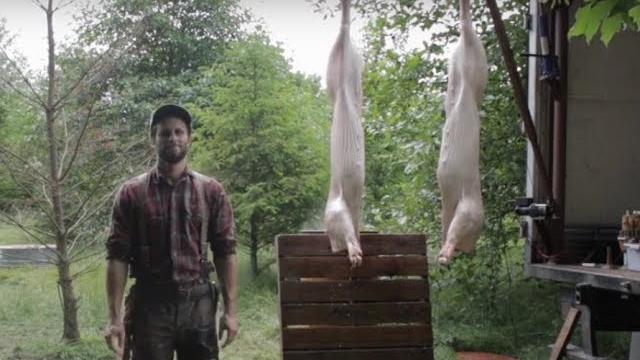 To harvest a pig nicely | humane pork butchering guide To harvest a pig nicely | humane pork butchering guide