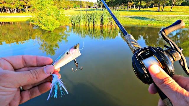 New popper produces big topwater blowups! New popper produces big topwater blowups!