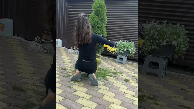 Туя спираль Туя спираль