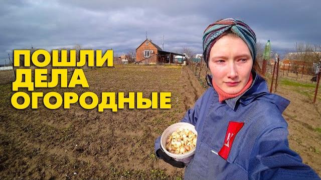 20 ч. купили дом на юге. открываем огородный сезон в феврале. пора сажать урожай в открытый грунт 20 ч. купили дом на юге. открываем огородный сезон в феврале. пора сажать урожай в открытый грунт