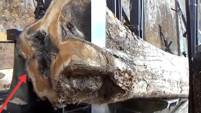 Scary!! this wood is like a devil's head Scary!! this wood is like a devil's head