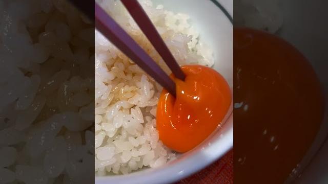 You’ve never seen a meal like this You’ve never seen a meal like this