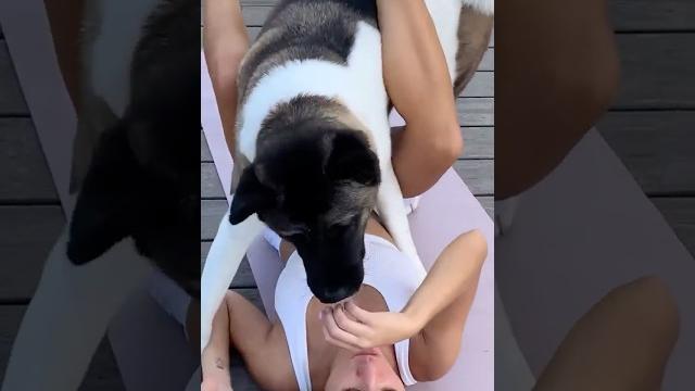 Fun home fitness with your dog #dogs #dogfunny #funnydogs #fitness #homeworkout #beautifulgirl Fun home fitness with your dog #dogs #dogfunny #funnydogs #fitness #homeworkout #beautifulgirl