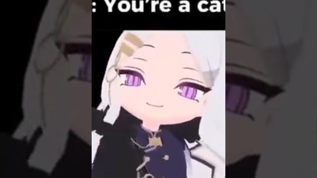 You're a cat blue archive - #cat #cute #bluearchiveglobal #bluearchive #chibi #edit #loli #petpet You're a cat blue archive - #cat #cute #bluearchiveglobal #bluearchive #chibi #edit #loli #petpet