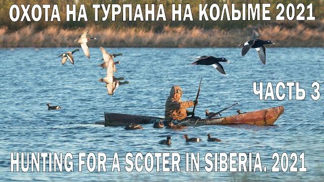 Охота на турпана на колыме 2021 часть 3. охота на уток в якутии. duck hunting in siberia. past 3 Охота на турпана на колыме 2021 часть 3. охота на уток в якутии. duck hunting in siberia. past 3