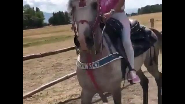 Naz mila ata binip kalçalarini salladi! Naz mila ata binip kalçalarini salladi!