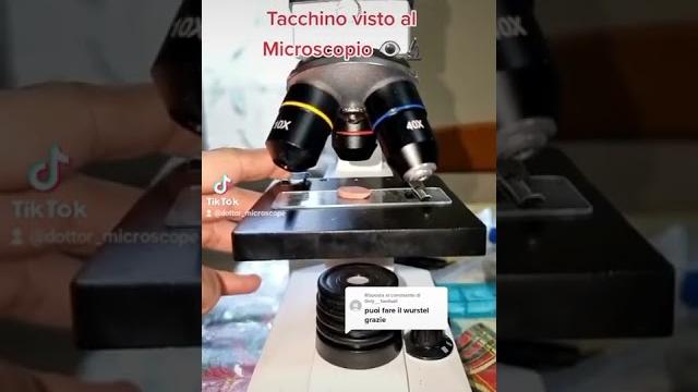 Ecco il wurstel al microscopio Ecco il wurstel al microscopio