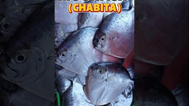 Moonfish Moonfish