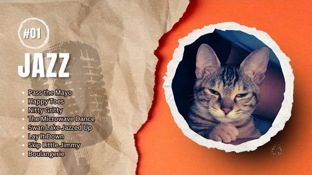 Taichi . jazz .meow Taichi . jazz .meow