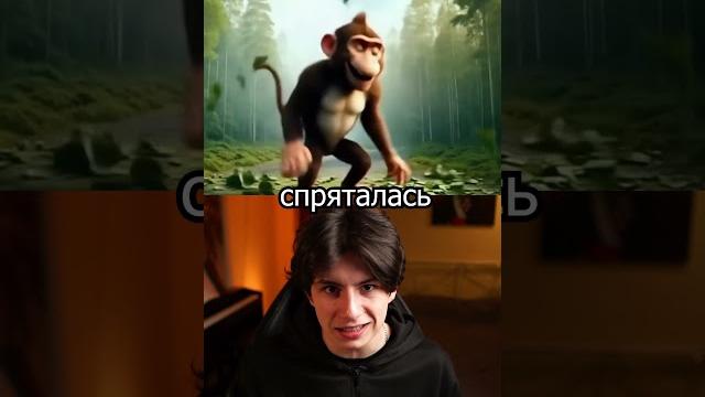 Итальянские животные нас обманывали Итальянские животные нас обманывали
