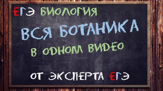 Вся ботаника егэ тут от эксперта егэ | биология егэ Вся ботаника егэ тут от эксперта егэ | биология егэ