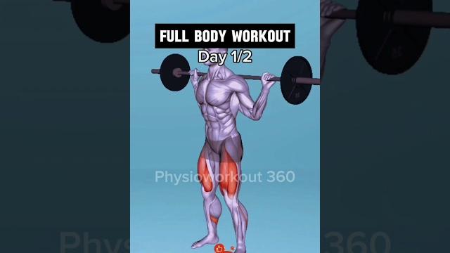 Full body workout day 1 #workout #fullbodyworkout #exercise #bodybuilding #fitness #shorts #gym Full body workout day 1 #workout #fullbodyworkout #exercise #bodybuilding #fitness #shorts #gym