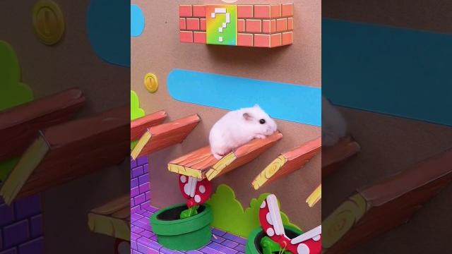 Нелегко быть марио хомура хам питомцы Нелегко быть марио хомура хам питомцы