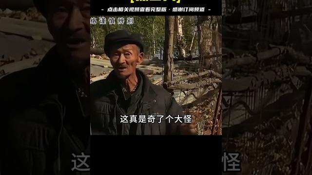 黑龍江挖出金國大墓,女墓主人竟身穿吊帶絲襪,真是大開眼界! 黑龍江挖出金國大墓,女墓主人竟身穿吊帶絲襪,真是大開眼界!