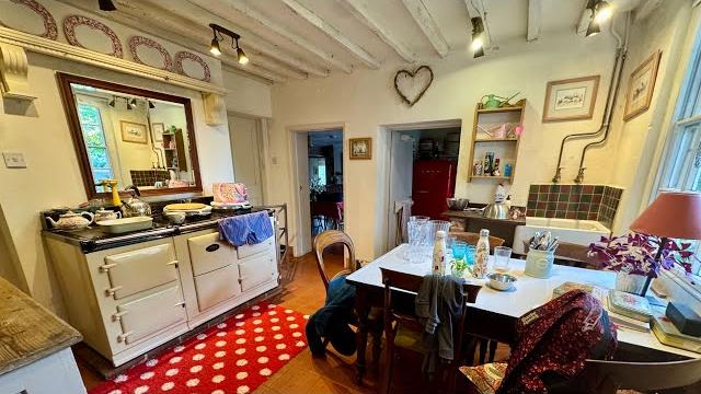 Early morning cleaning motivation messy kitchen & plant care | clean with kate #cleaningmotivation Early morning cleaning motivation messy kitchen & plant care | clean with kate #cleaningmotivation