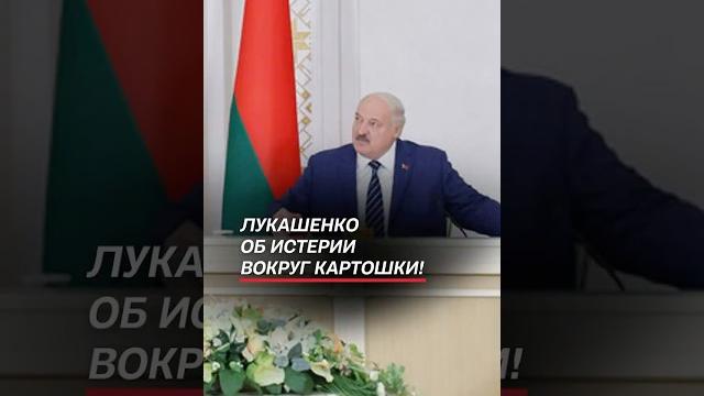 Лукашенко об истерии вокруг картошки! #лукашенко #политика #новости #беларусь #батька #президент Лукашенко об истерии вокруг картошки! #лукашенко #политика #новости #беларусь #батька #президент