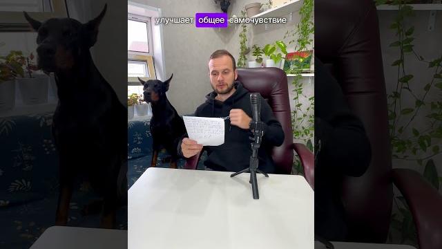 Социальная реклама получается #dobermann #doberman #собака #доберман #собаки #юмор #доберманы Социальная реклама получается #dobermann #doberman #собака #доберман #собаки #юмор #доберманы