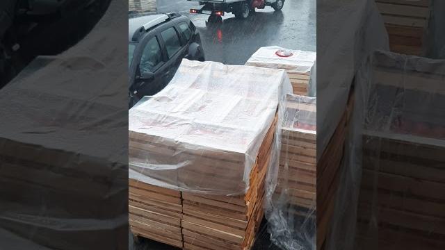 Сафийская база санкт петербург Сафийская база санкт петербург