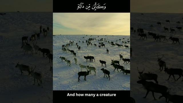 Beautiful recitation of quran ️ Beautiful recitation of quran ️