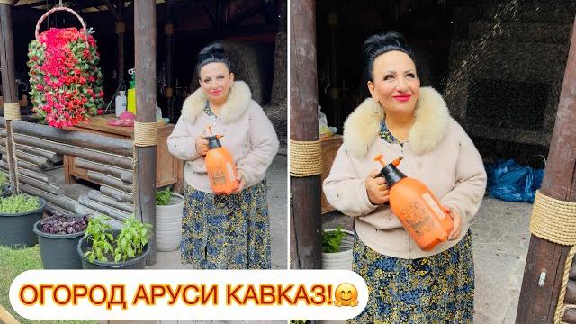 Аруся кавказ застряла в огороде! огород. сад. лайфхаки. ландшафтный дизайн. #арусякавказ #настрой Аруся кавказ застряла в огороде! огород. сад. лайфхаки. ландшафтный дизайн. #арусякавказ #настрой