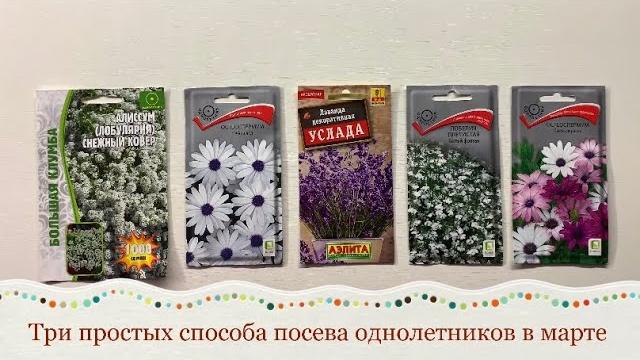 Сеем цветы в марте. три простых способа Сеем цветы в марте. три простых способа