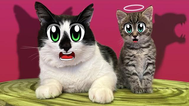 Подписчики выбрали имя кошечке! кот малыш учит юги и яни в школе котов! эни знакомится с семьей Подписчики выбрали имя кошечке! кот малыш учит юги и яни в школе котов! эни знакомится с семьей