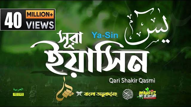 036) সূরা ইয়াসীন surah ya-sin হৃদয় ছোঁয়া سورة يس অনুবাদ |qari sakir qasmi | mahfuz art of nature 036) সূরা ইয়াসীন surah ya-sin হৃদয় ছোঁয়া سورة يس অনুবাদ |qari sakir qasmi | mahfuz art of nature