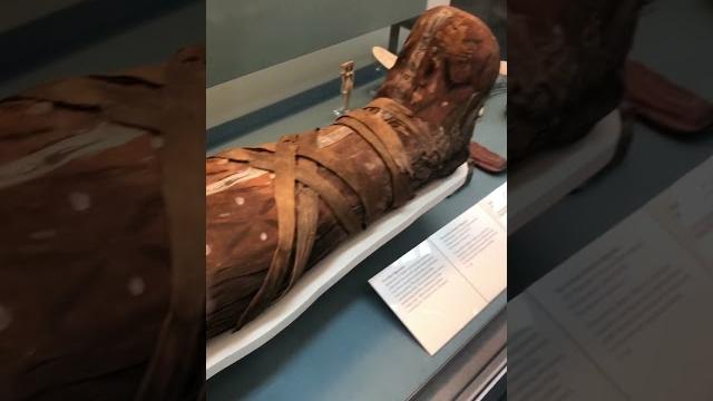 Cleopatra mummy? Cleopatra mummy?