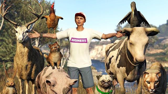 Полный обзор режима режиссёра в gta 5 Полный обзор режима режиссёра в gta 5