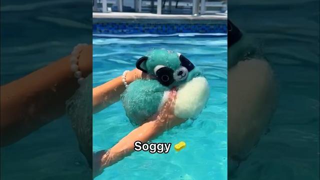 I left my squishmallow in the pool for 24 hours! *rip fidget* I left my squishmallow in the pool for 24 hours! *rip fidget*