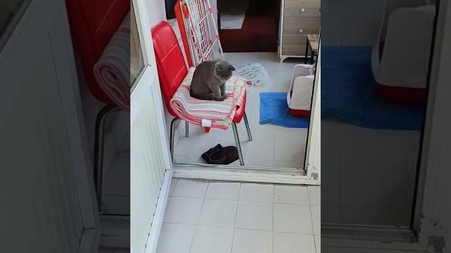 #cat halı yıkama zamanı # #cat halı yıkama zamanı #
